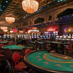 jeetbuzz apk download